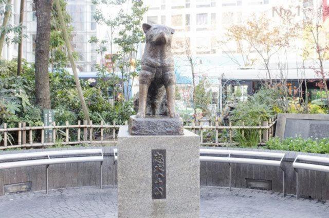 S6 Shibuya Center-350m From Shibuya St Ation * Präfektur Tokio